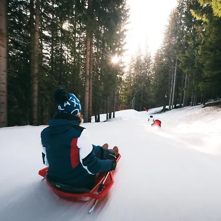 Apartament Confortable 2 Pieces, Skis Aux Pieds, Animaux Bienvenus - Fr-1-182a-19 *