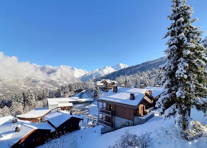 Confortable 2 Pieces, Skis Aux Pieds, Animaux Bienvenus - Fr-1-182a-19