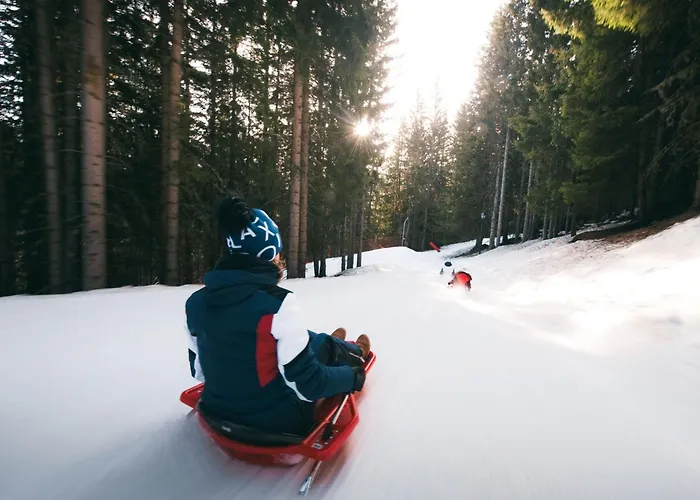 Confortable 2 Pieces, Skis Aux Pieds, Animaux Bienvenus - Fr-1-182a-19 *