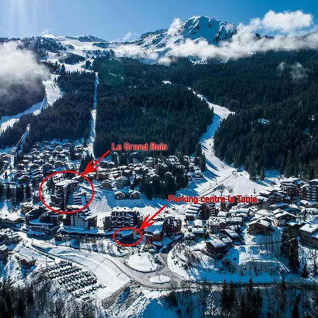 La Tania 4 Pers, Skis Aux Pieds, 2 Pieces, Balcon, Grand Bois A - Fr-1-182a-19 Apartment Courchevel