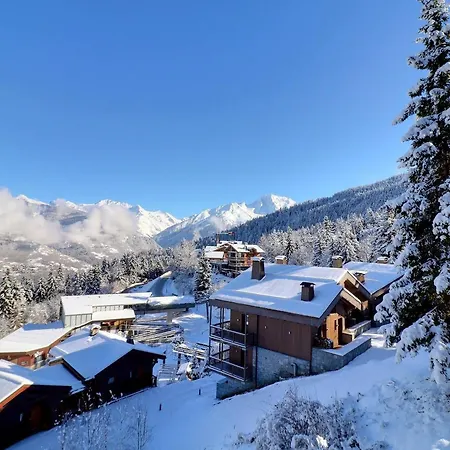 Confortable T2 Skis Aux Pieds, Animaux Autorisés - Fr-1-182a-19 * Courchevel